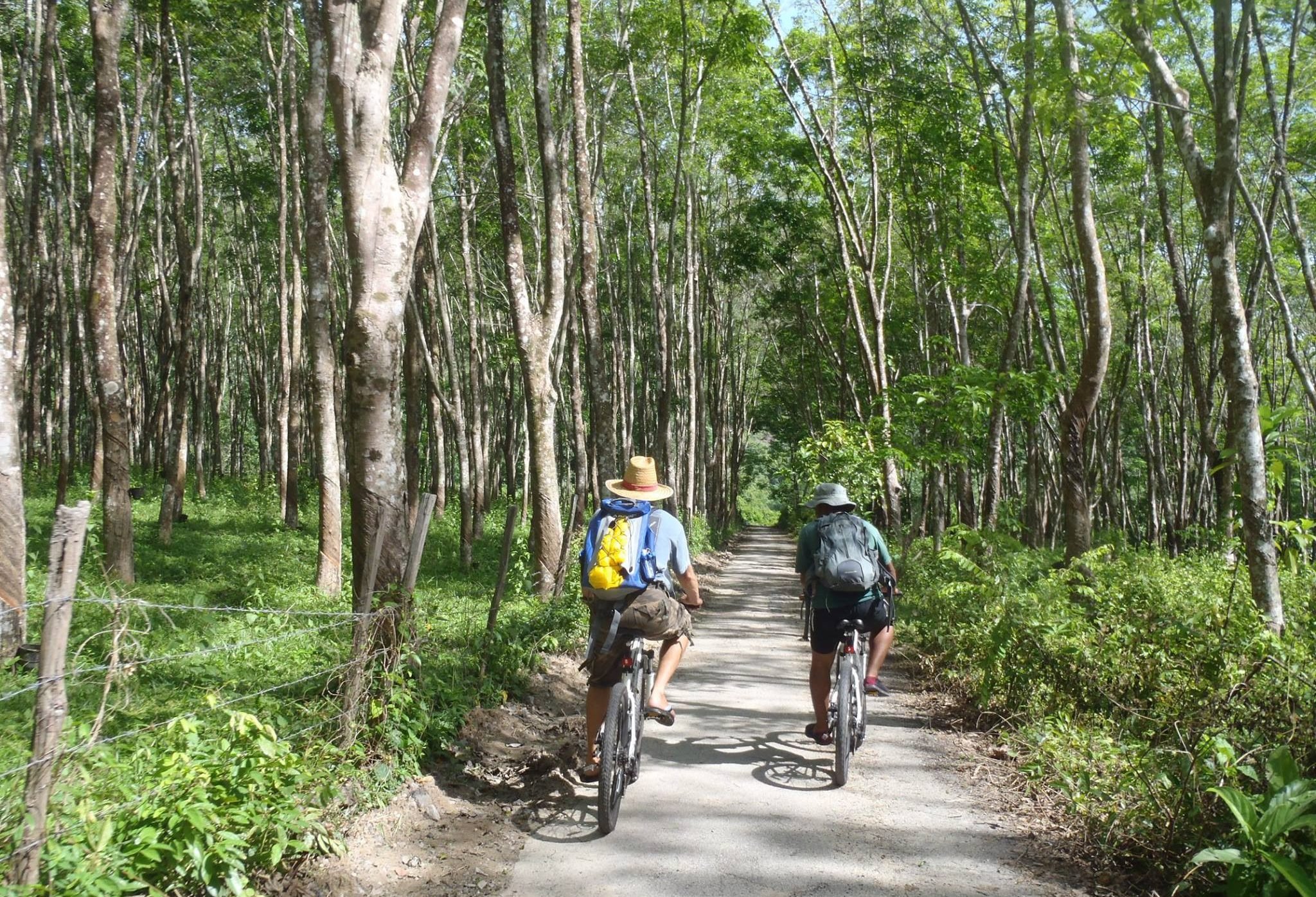 Fietsexcursie op Langkawi